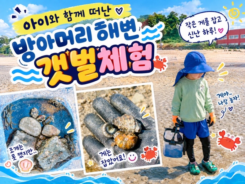 방아머리해수욕장 갯벌체험/게 잡고 놀았던 대부도 갯벌체험 물때표 물때시간