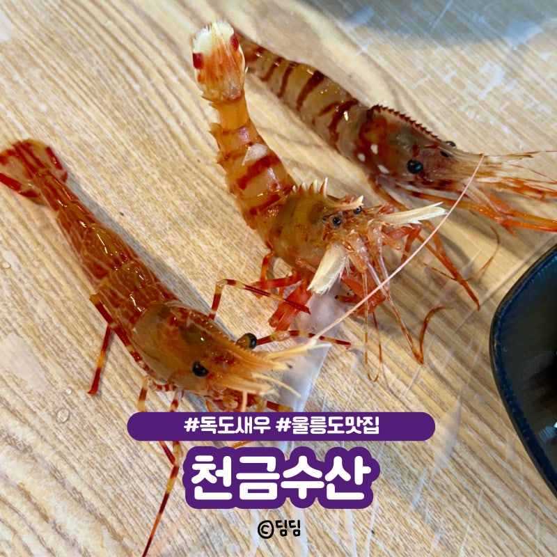 울릉도 맛집 천금수산, 독도새우 2인세트 먹어봤어요