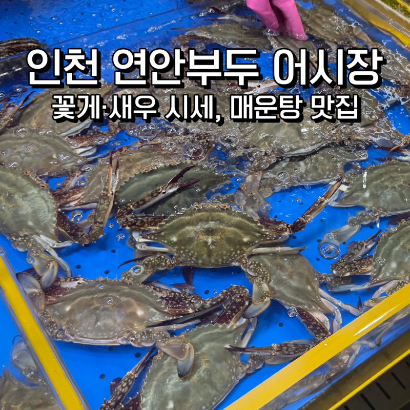 인천 연안부두어시장｜2026년 10월 꽃게·새우 시세, 공영주차장 정보