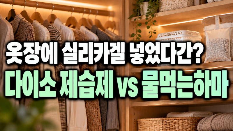 "옷장에 실리카겔 넣었다간?" 다이소 실리카겔 제습제 vs 물먹는하마 차이 종류별 사용법