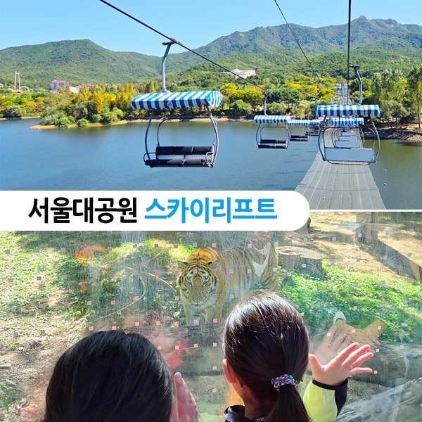 서울대공원 리프트 가격 동물원 패키지 할인 과천 가을 여행지 경기도 단풍 명소