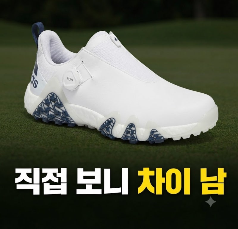 남성골프화 가성비 추천 브랜드 (+ 가성비 ,보아 ,발편한골프화)