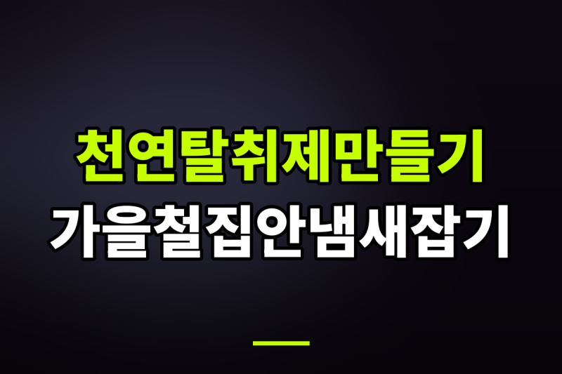 가을철 집안 냄새 잡는 천연 탈취제 직접 만들어 사용해 본 후기