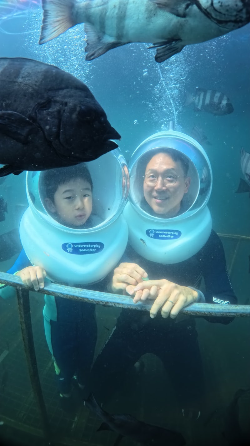 제주 이색체험 씨워크 아이랑 도전! 김녕 언더워터플레이 씨워킹 찐후기