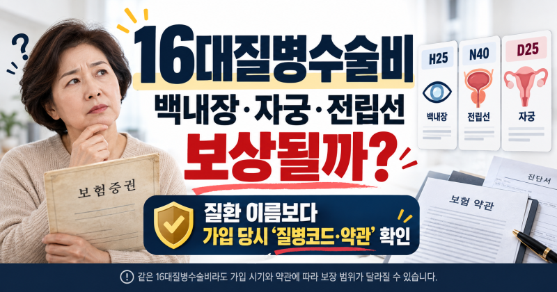 16대 질병수술비 종류, 백내장 자궁 전립선 보상될까?