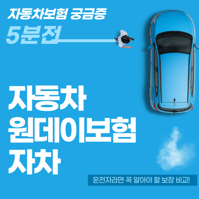 자동차 원데이보험 자차 포함 여부, 단기운전할 때 꼭 확인하는 기준