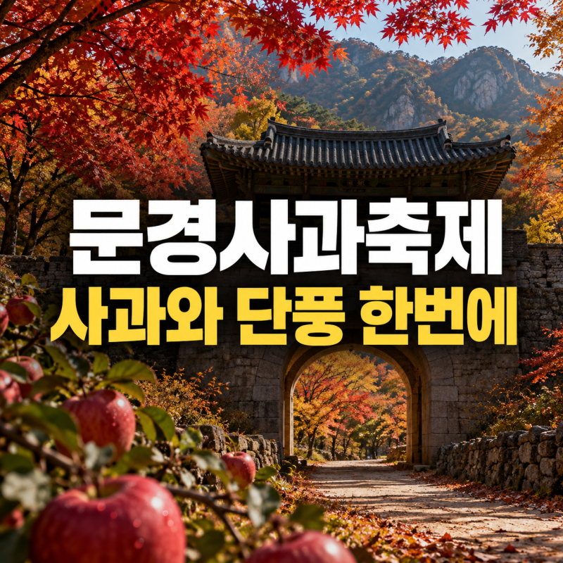 2026 문경사과축제 일정·주차·단풍까지, 10월 경북 가을여행 문경새재 추천