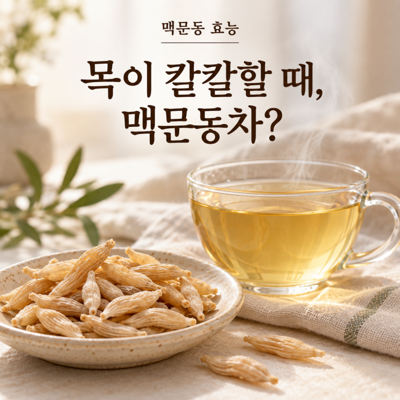 맥문동 효능, 목이 칼칼하고 마른기침 날 때 찾는 이유는?