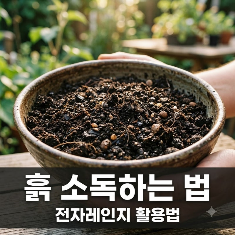 흙 소독하는 법 전자레인지 활용법과 꼭 알아야 할 주의사항 5가지