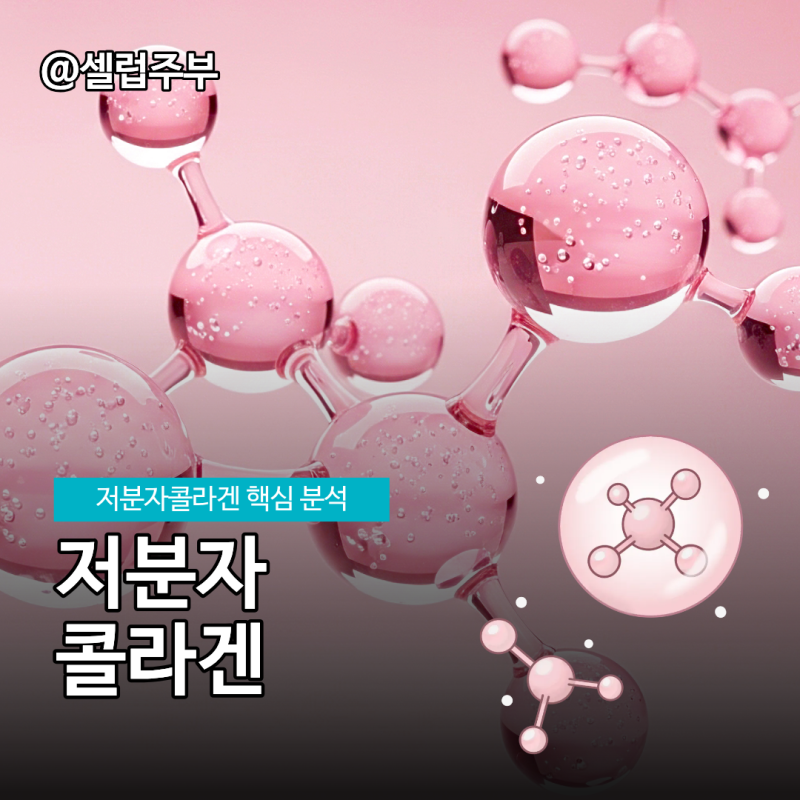 저분자콜라겐 작게 나눈 단백질 효능