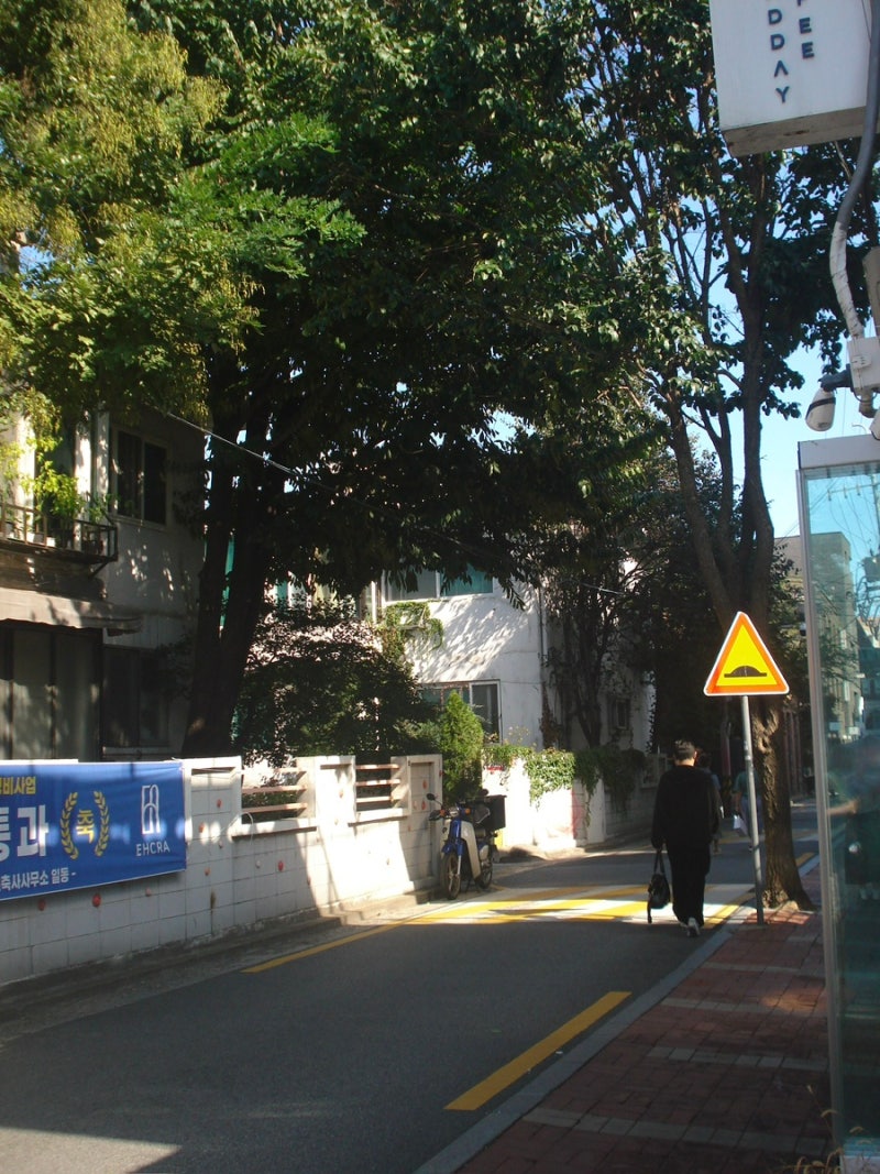 빈티지디카 소니사이버샷 dsc w55 작례③