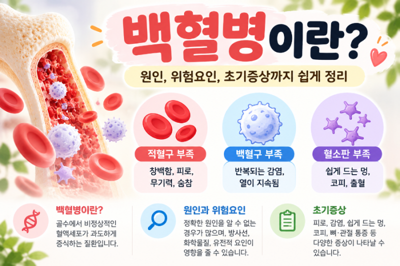 백혈병 초기증상은? 원인·위험요인부터 소아 백혈병까지 쉽게 정리
