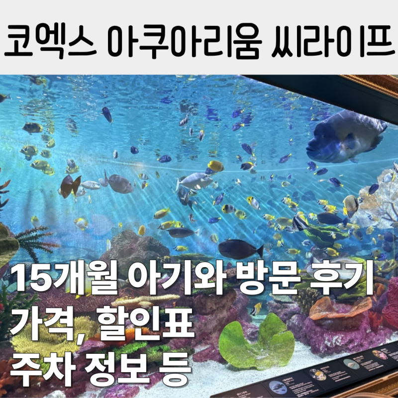 코엑스 아쿠아리움 씨라이프 15개월 아기랑 주차, 수유실 등