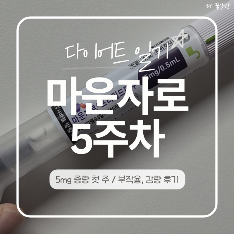 마운자로 5mg 증량 첫주후기｜2.5mg랑 확실히 달랐던 부작용, 체중 변화, 눈바디까지
