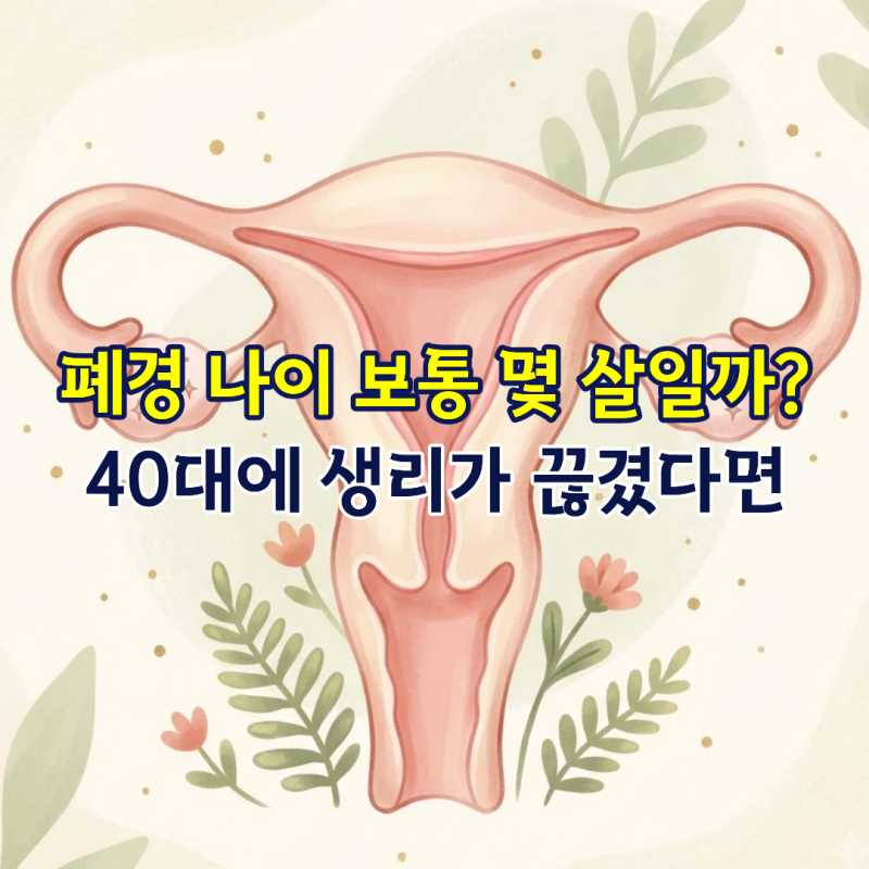 폐경 나이 보통 몇 살일까? 40대에 생리가 끊겼다면