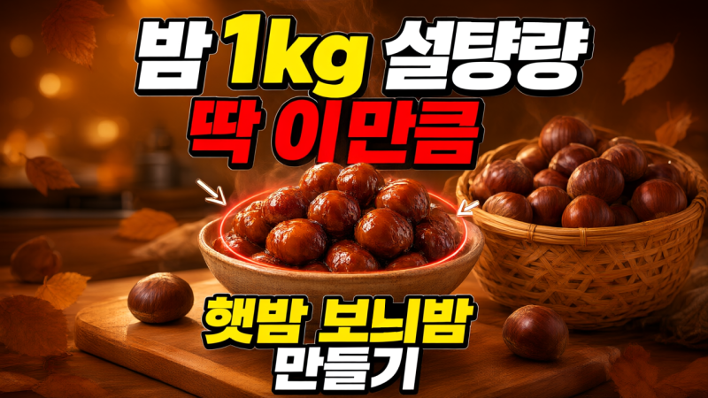 햇밤 보늬밤 만들기. 밤 1kg 설탕량과 보관 기간 정리