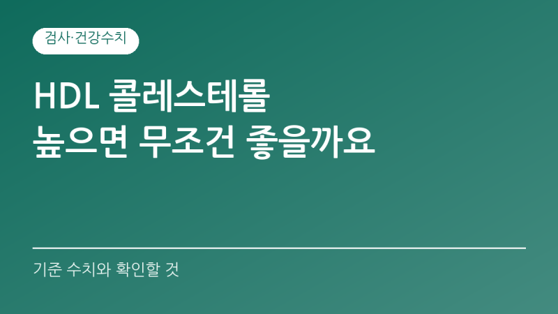 HDL 콜레스테롤이 높으면 무조건 좋을까요? 기준 수치와 높게 나왔을 때 확인할 것