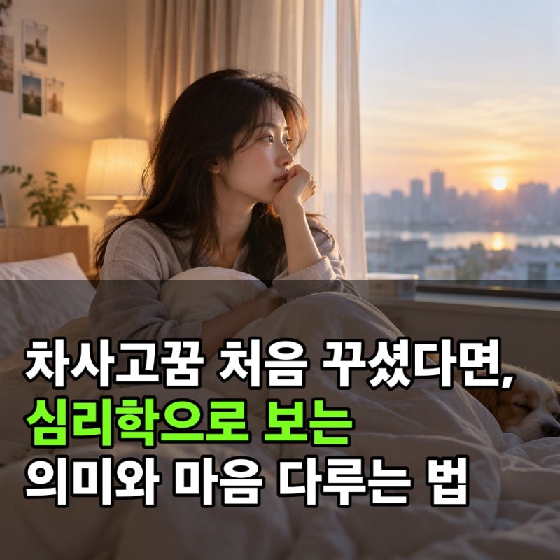 차사고꿈 처음 꾸셨다면, 심리학으로 보는 의미와 마음 다루는 법
