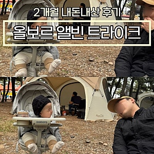 [두달사용] 단점도 많은데 잘사용 중인 올보르 트라이크 앨빈 내돈내산 후기