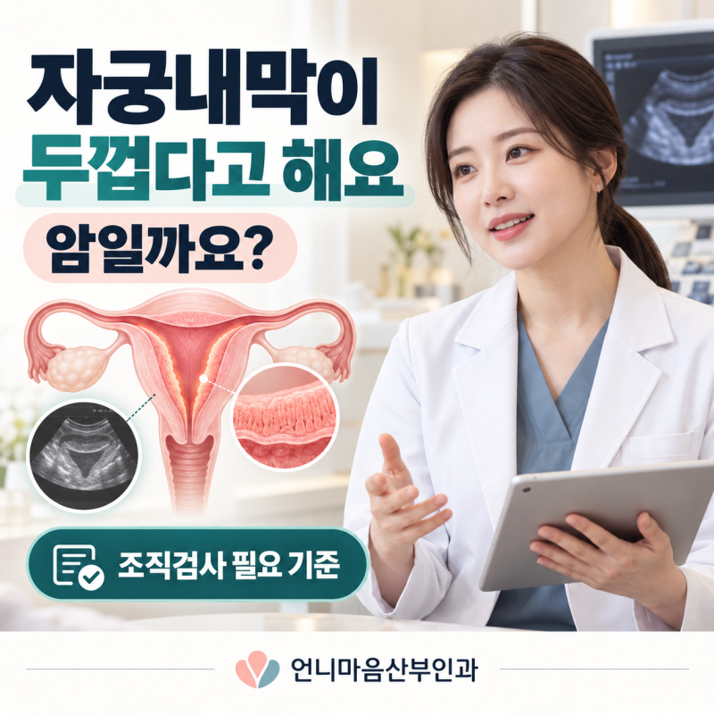자궁내막이 두껍다고 해요, 암일까요? 생리주기별 변화와 조직검사가 필요한 기준