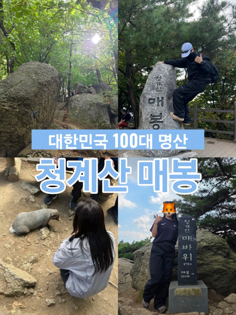 [서울 근교 등산] 이번엔 매봉이다! 청계산 매봉 정상까지 제대로 올라간 후기&안내
