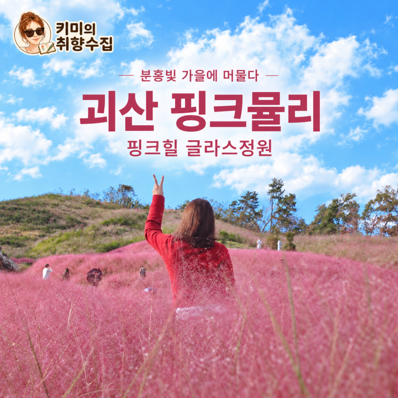충북괴산 핑크뮬리 명소, 핑크힐 글라스정원 분홍빛 가을 산책과 주차 주의사항