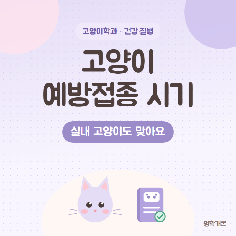 고양이 예방접종 종류와 시기 실내 고양이도 맞아야 할까