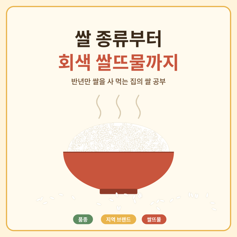 쌀뜨물이 회색이면? 곰팡이 쌀 구별법과 신동진·삼광·이천쌀 차이 총정리