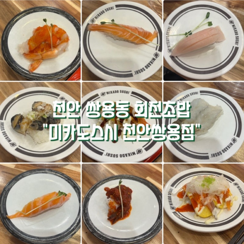 천안 쌍용동 초밥맛집 미카도스시 천안쌍용점｜가성비 좋은 회전초밥 맛집