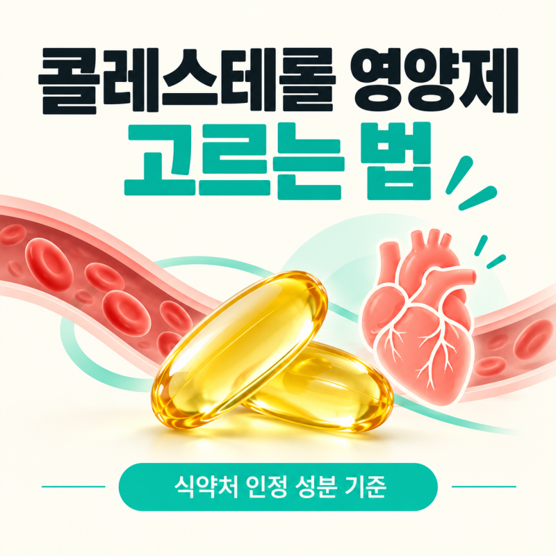 콜레스테롤 영양제, 식약처 인정 성분으로 고르는 법 정리했습니다.