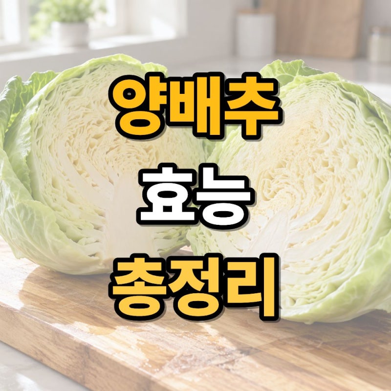 양배추 효능부터 찌는 법까지, 건강하게 먹는 방법 총정리