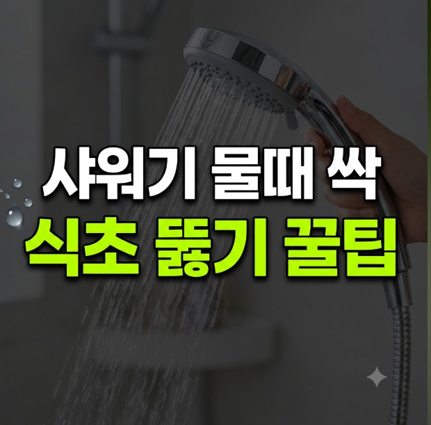 샤워기 헤드 미세 구멍 속 석회질 물때 식초물 담금으로 속 시원히 뚫어낸 후기