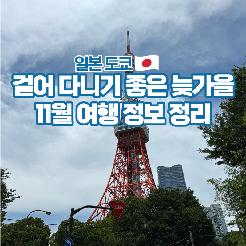 도쿄 11월 날씨 옷차림 항공권 일본 여행 준비물 정리