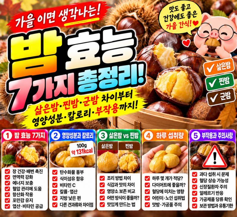 삶은밤 찐밤 효능 7가지 총정리! 밤 영양성분부터 칼로리·부작용·하루 섭취량까지