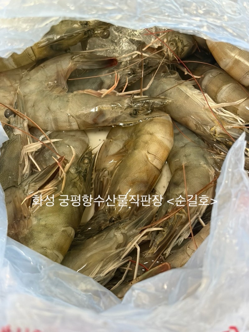 화성 궁평항수산물직판장 순길호 새우 포장 생새우회 새우구이 솔직후기