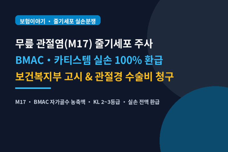 무릎 줄기세포 800만 원 실손 환급받는 법! BMAC 자가골수 주사 & 카티스템 3종 수술비 완벽 가....