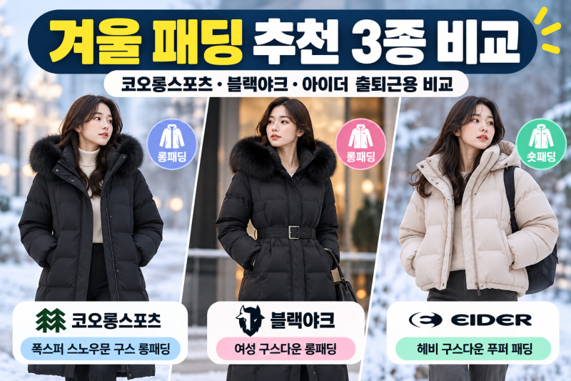 겨울 패딩 추천 3종｜코오롱스포츠·블랙야크·아이더 출퇴근용 비교