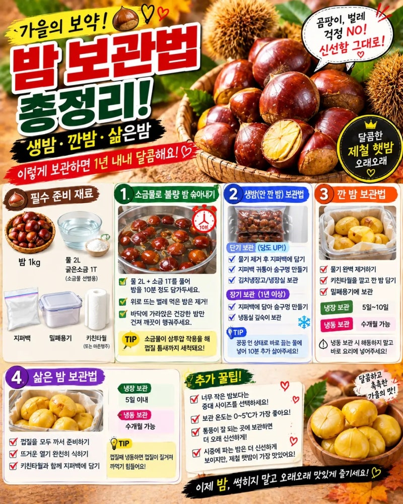 밤 보관법 총정리 생밤·깐밤·삶은밤