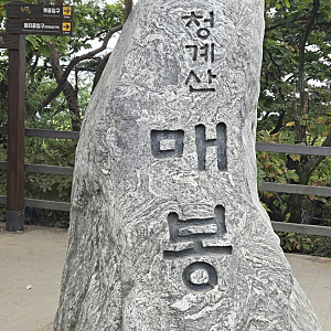 서울 가을등산 청계산 / 초보 등산 후기 / 초보등산 코스추천 / 원터골 입구 ~ 매봉 정상 순환 ....