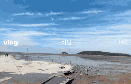 [마시안 갯벌체험] 어른둘이 갯벌체험 ! 아이없어도 갈수있자나! |맛조개|영종도