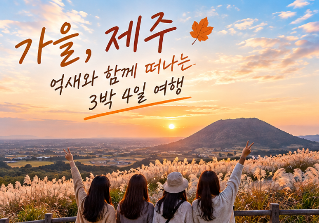 10월 제주도 3박4일 패키지 / 가을 억새여행 23만원대 전국출발