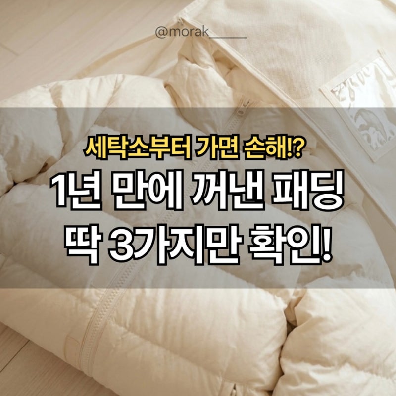 올겨울 패딩 꺼내기 전, 단 5분 확인으로 숨 죽은 깃털 2배 살리는 루틴