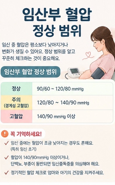 임산부 혈압 정상 범위｜임신 중 혈압이 높거나 낮다면?