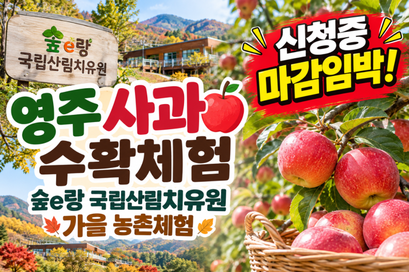 영주 사과 수확체험 숲e랑 국립산림치유원 가을 농촌체험