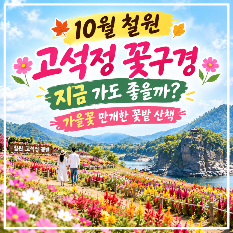 10월 철원 고석정 꽃구경, 지금 가도 좋을까? 가을꽃 만개한 꽃밭 산책