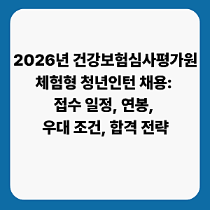 2026년 건강보험심사평가원 체험형 청년인턴 채용: 접수 일정, 연봉, 우대 조건, 합격 전략