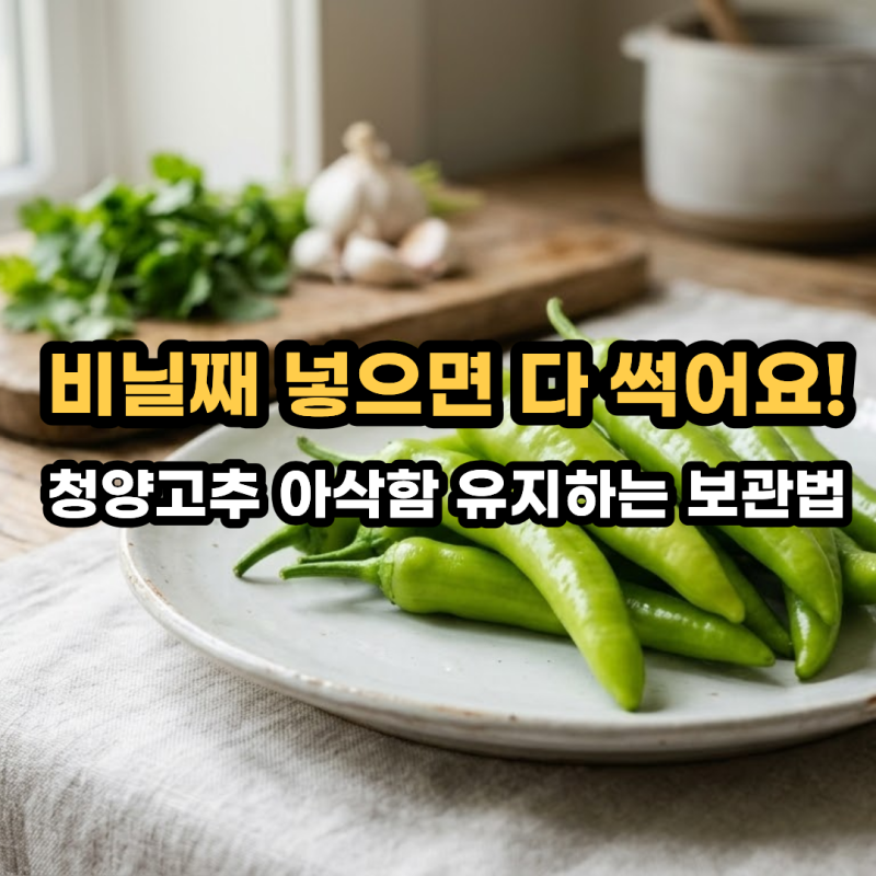 청양고추 오이고추 보관법 6개월 싱싱하게! 꽈리고추 냉동 보관 & 꼭지 제거 꿀팁