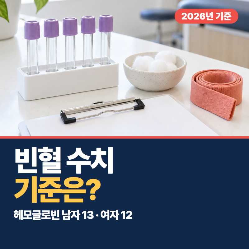 빈혈 수치 기준, 헤모글로빈 남자 13·여자 12! 임산부 기준은 기관마다 달라요