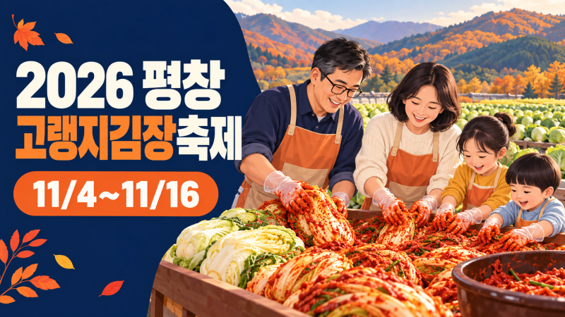 김장 10kg이 6만9천원? 택배까지 되는 2026 평창고랭지김장축제