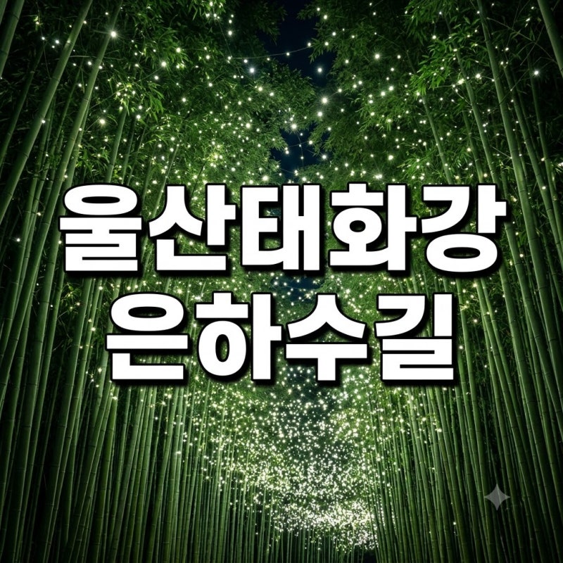 울산 태화강 국가정원 십리대숲 은하수길 야경 주차장 위치 추천 무조건 여기로 가세요